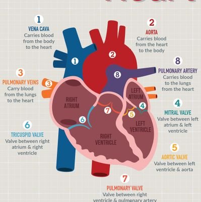omohthurlah's profile picture. BSc Microbiology/
Bsc Nursing/
RN/RM/RPHN