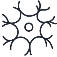 MOMO (@neurodevnet) 's Twitter Profile
