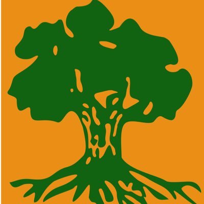 kman378311's profile picture. MA born, TX bred, Reagan Republican #USA #AmYisraelChai #standwithisrael 49 #GigEm Hatikvah Proud Zionist 🇮🇱✡️ #IDF #LFC #NEPats #NHLBruins