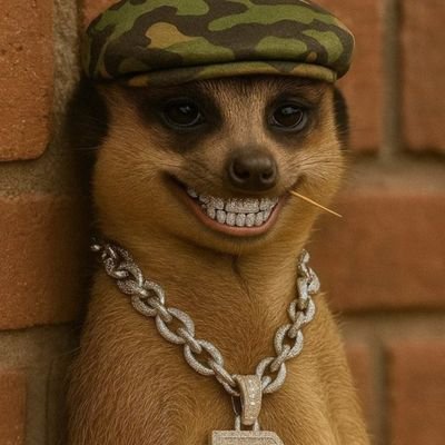 Ridwanola01's profile picture. New page pls follow 🙏🏽💦