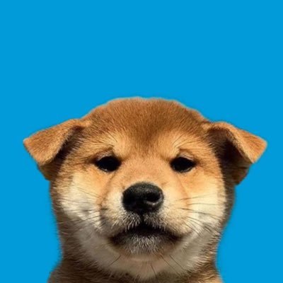 avainvestinAI's profile picture. buying #Ai