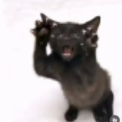 olieeel's profile picture. @999999999