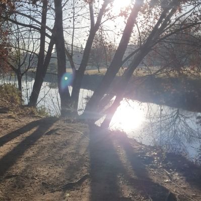 SinisterClownTM's profile picture. 