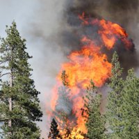 CAWildFire (@cawildfiretrack) 's Twitter Profile Photo CAWildFire (@cawildfiretrack) 's Twitter Profile Photo