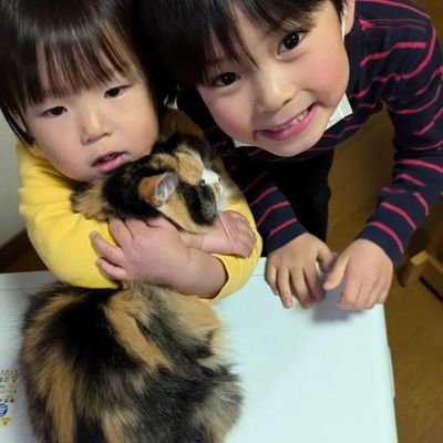 キャリコ（三毛猫）さんのプロフィール画像