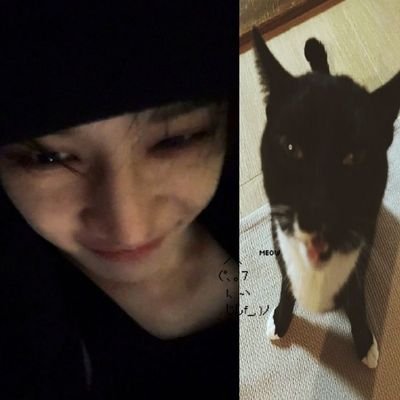 bedobelda's profile picture. 