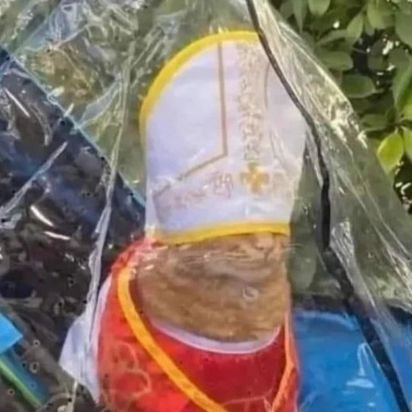 pretocarlo's profile picture. Maduro en busca de una pareja cuckold que le gusten los temas taboo, inc3sto CDMX. 5540695559.