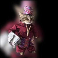 $MEOWX, catwifmeow on X (@meowxonsol) 's Twitter Profile