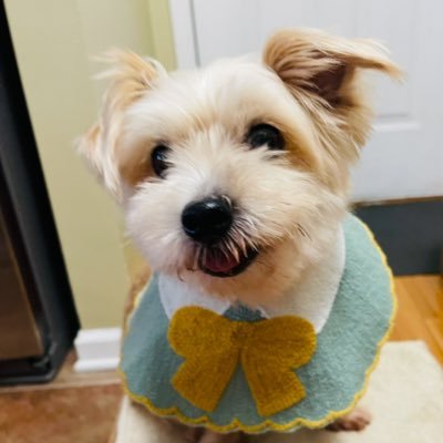 imo_eilla's profile picture. AHOF/ JL 🌟 제이엘/ Boss JL✨& Jeguri bias, Saw~BTS(2019)~NCT 127~NCT Dream~The Rose ~Enhypen~TXT 🇺🇸 Multistan