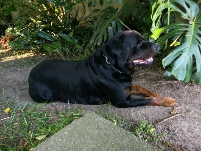 la72232's profile picture. Las nubes pasan, el azul queda. LLP  Siempre en el camino, nunca en la posada. 
Hay orden de no aflojar