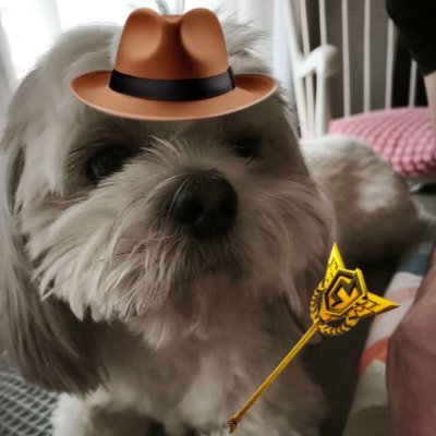 Sultanfv's profile picture. 1x grands 1300$