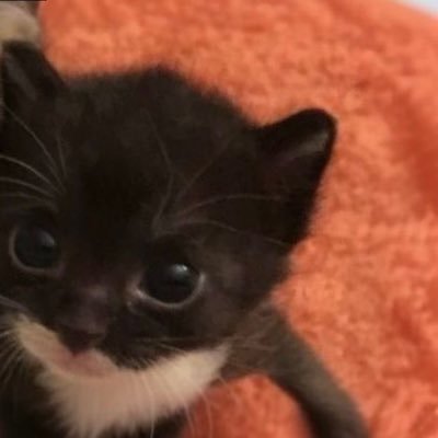 burnerbymichs's profile picture. girl kisser, wicked, rich. 2/3 of #mollip