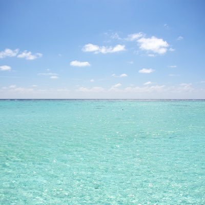 yutaka_858585's profile picture. 