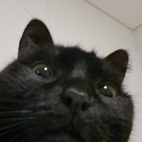 bibi (@holdmesue) 's Twitter Profile