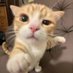 Moo (@moo_waos) Twitter profile photo Moo (@moo_waos) Twitter profile photo