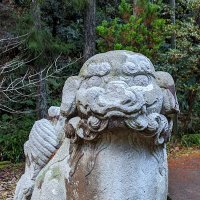 だだ (@thebig5555) 's Twitter Profile