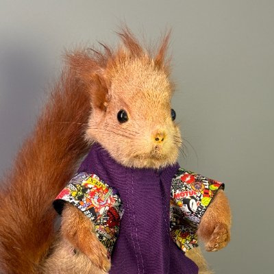 the first squirrel with down syndrome
CA:C64E8AKojuYtrmERactN5MjySwxzVyasF5NBwUPDpump
