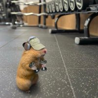 Psycho ciba (@cibav2) 's Twitter Profile