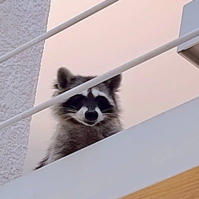 dosomethinged's profile picture. 