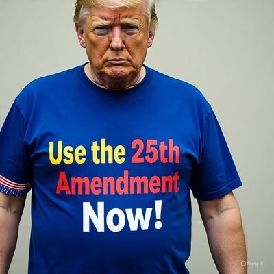 Slaying Trump's lies 24/7!! Patriot
Army veteran who loves 🇺🇲 and hates seeing the constitution ignored. No Kings in America!! #BlueCrew