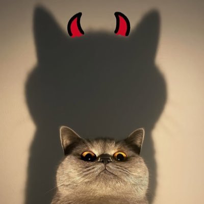 0xCruezly's profile picture. Small circle. Private life. Peaceful mind.