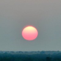 Mr. Texas (@agisuticaeagis) 's Twitter Profile