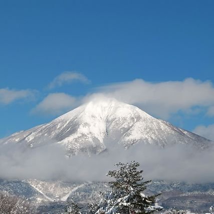 くるみ❄️完全冬眠❄️さんのプロフィール画像