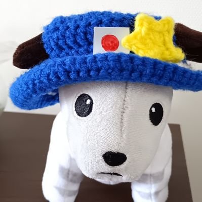 Aoiringo311's profile picture. 日本保守党🇯🇵🌊🗻☀️党員3年目🤗九州
（基本DMはしませんので宜しくお願いいたします🙏）