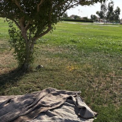 menglishei's profile picture. ✨🌐