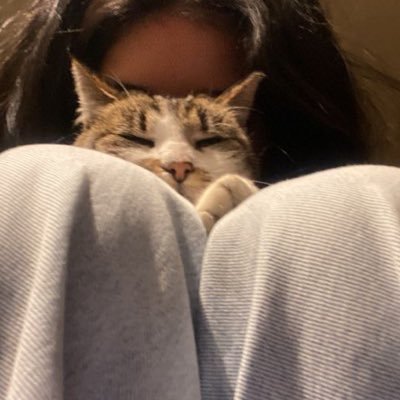Util307's profile picture. 