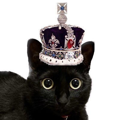黒猫をデザインとしたグッツ販売をしてます。
(保護猫活動をしております。売り上げの全ては地域保護猫活動費にあてております)
SUZURI 👉 https://t.co/Qp9hG3tukx
Tシャツトリニティ👉 https://t.co/Wpe82BLmHU