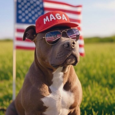 bran_baume14's profile picture. Buffalo 716. GO BILLS• F*CK K.Hochul - MAKE AMERICA GREAT AGAIN -JESUS is KING - Ancient Aliens Made US - F*CK the Commies! White is Right!