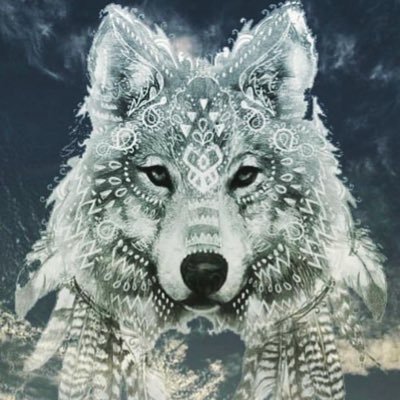 Lonewolf_Kye's profile picture. #JohnKahlooniArmy 🌏🕊️🙏🏼🩵🎩🥀 #WeAreOne☔️