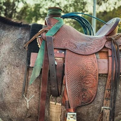 Dealer of saddles at cheaper prices..shipping worldwide. We sell fairly Used saddles for more information directly text us.your satisfaction is our priority 🐎