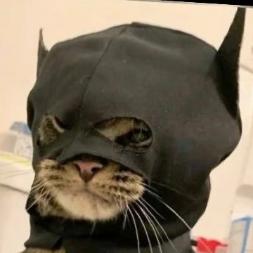 anandsaint's profile picture. 