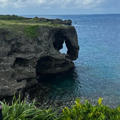 kattymobil's profile picture. 