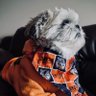 NHL_Sid's profile picture. Writer @OilersNation. Analyzing and tracking hockey stats. Currently in a love/hate relationship with the Edmonton Oilers.