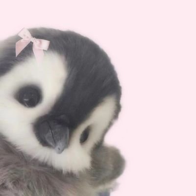 tinnykytten's profile picture. 