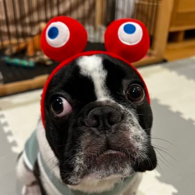 Babo0120's profile picture. 