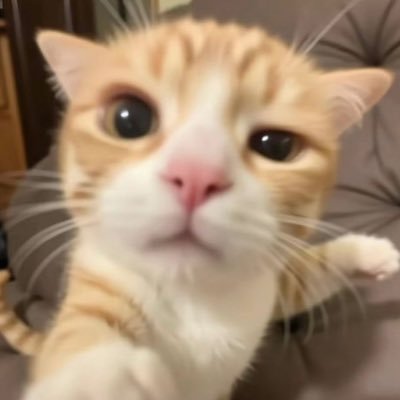 inmyeonmyo's profile picture. 