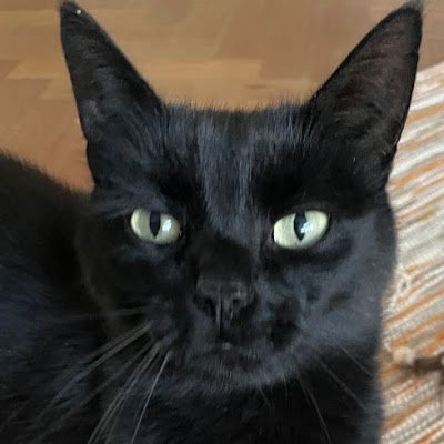 dougie7015's profile picture. 