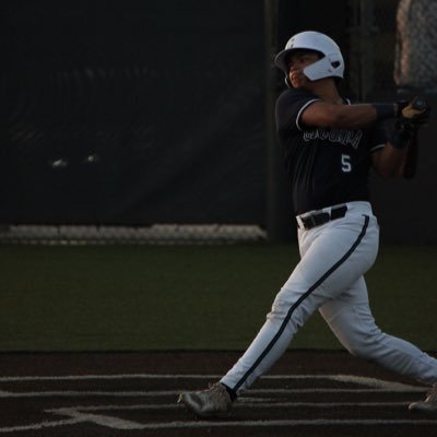 Luca Anzalone Profile