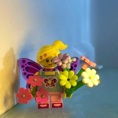 Just me messing around with bricks. Sharing builds I enjoy, sets that catch my eye, and whatever DIY project I’m into. No rules, just good fun. 🧱🛠️