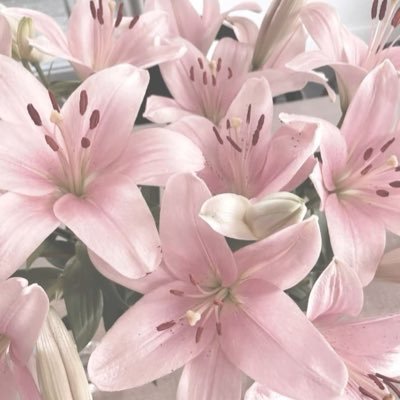 _pinkdj's profile picture. 