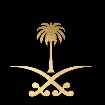 Sa1Naq's profile picture. 🇸🇦