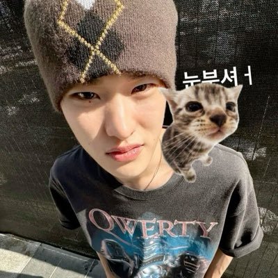 @imcookiecats