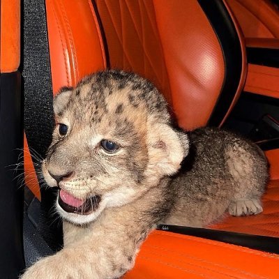 LyovEcom's profile picture. Work in Progress...