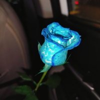 kartik (@kartik875512) 's Twitter Profile