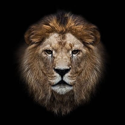 001 5️⃣TIMES||🇧🇪🇧🇪 I Tweet/Retweet Really Nice CONTENT, @davido #30BG @TeamMessi @FCBarcelona 🤞🏽❤️