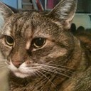 sonja jonsson - @sonjajonsson - Twitter